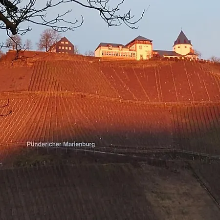 Moselblick * Pünderich