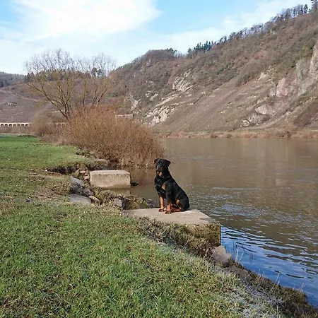 Moselblick
